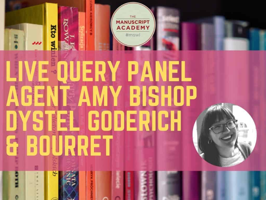 Live Query Panel with Agent Amy Elizabeth Bishop at Dystel, Goderich ...