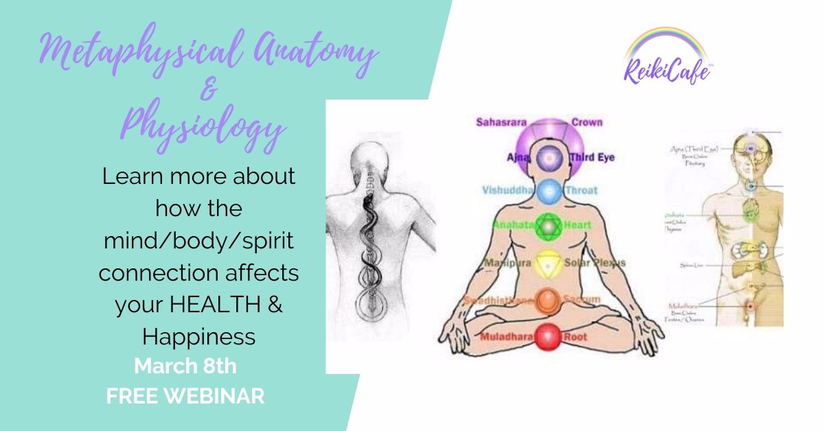 Metaphysical Anatomy & Physiology - crowdcast
