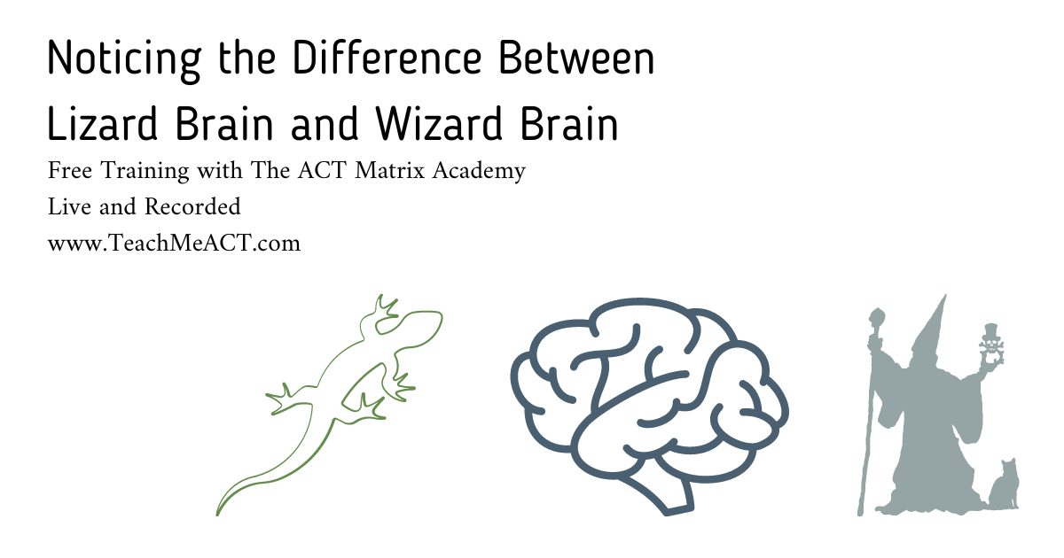 Noticing the Difference Between Lizard Brain and Wizard Brain - crowdcast